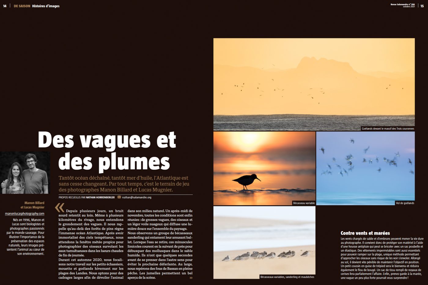 Publication de Manon Billard et Lucas Mugnier dans La Salamandre 2021 – Histoire d'images "Des vagues et des plumes".
