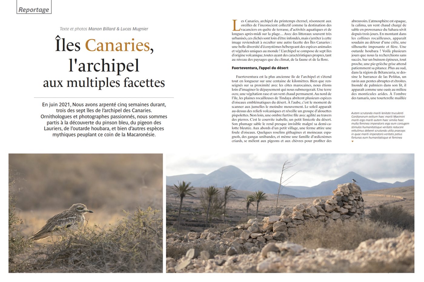 Publication de Manon Billard et Lucas Mugnier dans L'Oiseau Magazine 2022 – Îles Canaries, l'archipel aux multiples facettes - Espagne.