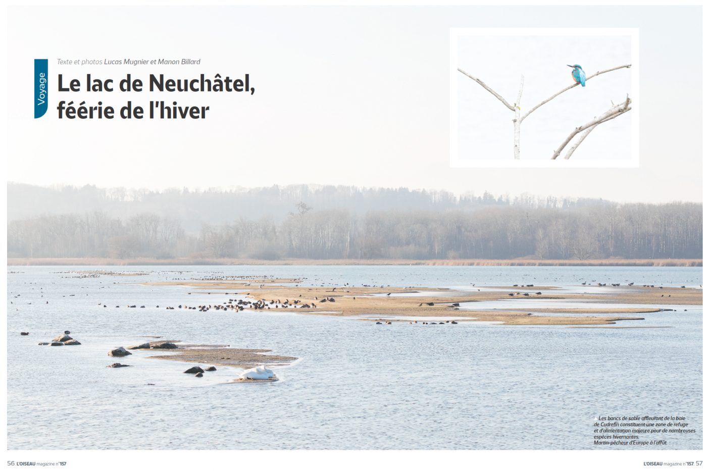 Publication de Manon Billard et Lucas Mugnier dans L'Oiseau Magazine 2024 – Le Lac de Neuchâtel, féerie de l'hiver - Suisse