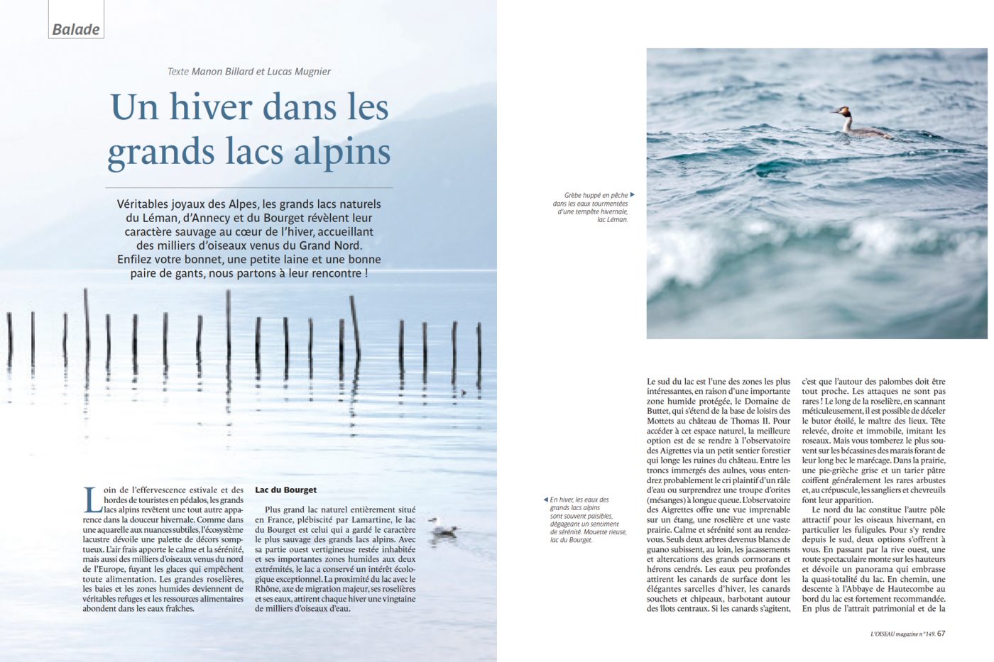 Publication de Manon Billard et Lucas Mugnier dans L'Oiseau Magazine 2022 – Un hiver dans les grands lacs alpins, France et Suisse.