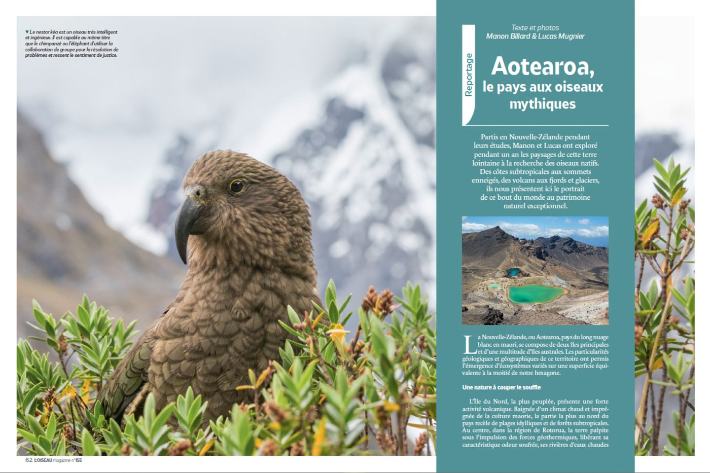 Publication de Manon Billard et Lucas Mugnier dans L'Oiseau Magazine 2024 – Aotearoa, le pays aux oiseaux mythiques - Nouvelle-Zélande
