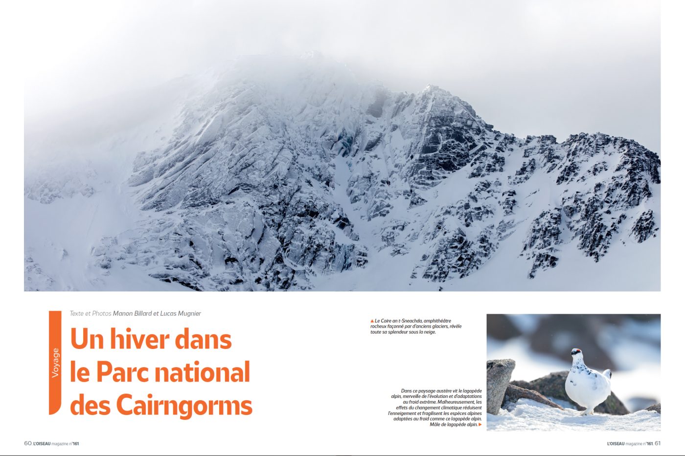 Publication de Manon Billard et Lucas Mugnier dans L'Oiseau Magazine 2026 – Un hiver dans le Parc national des Cairngorms - Écosse