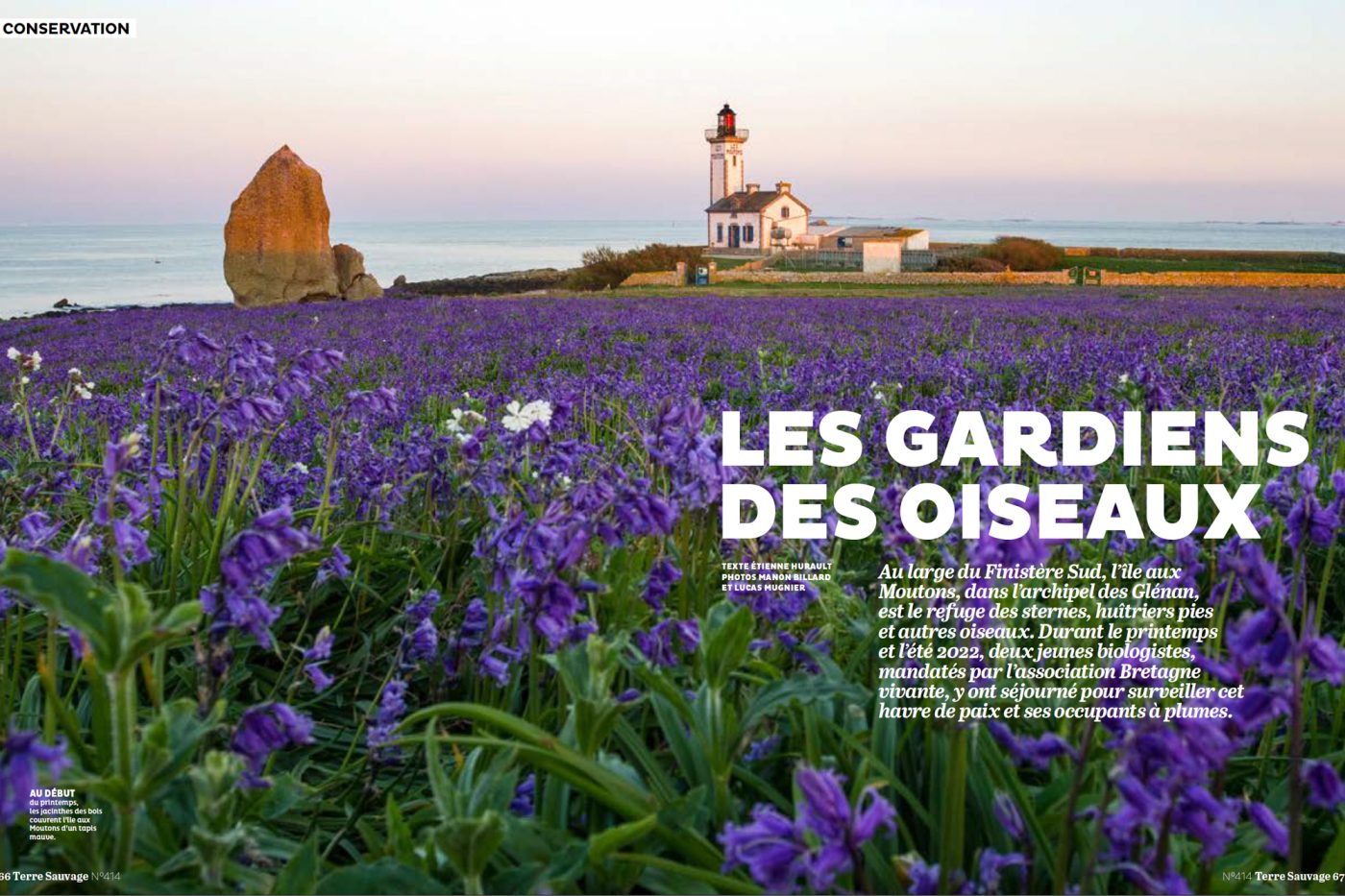 Publication de Manon Billard et Lucas Mugnier dans Terre Sauvage 2023 – Les gardiens des oiseaux.