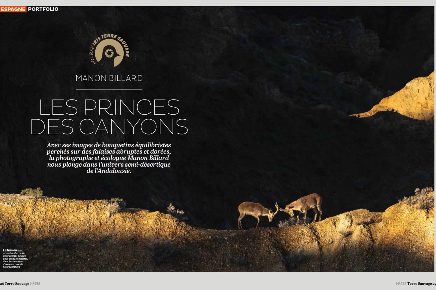 Publication de Manon Billard dans Terre Sauvage 2025 – Les princes de canyons, Bourse Iris Terre Sauvage.