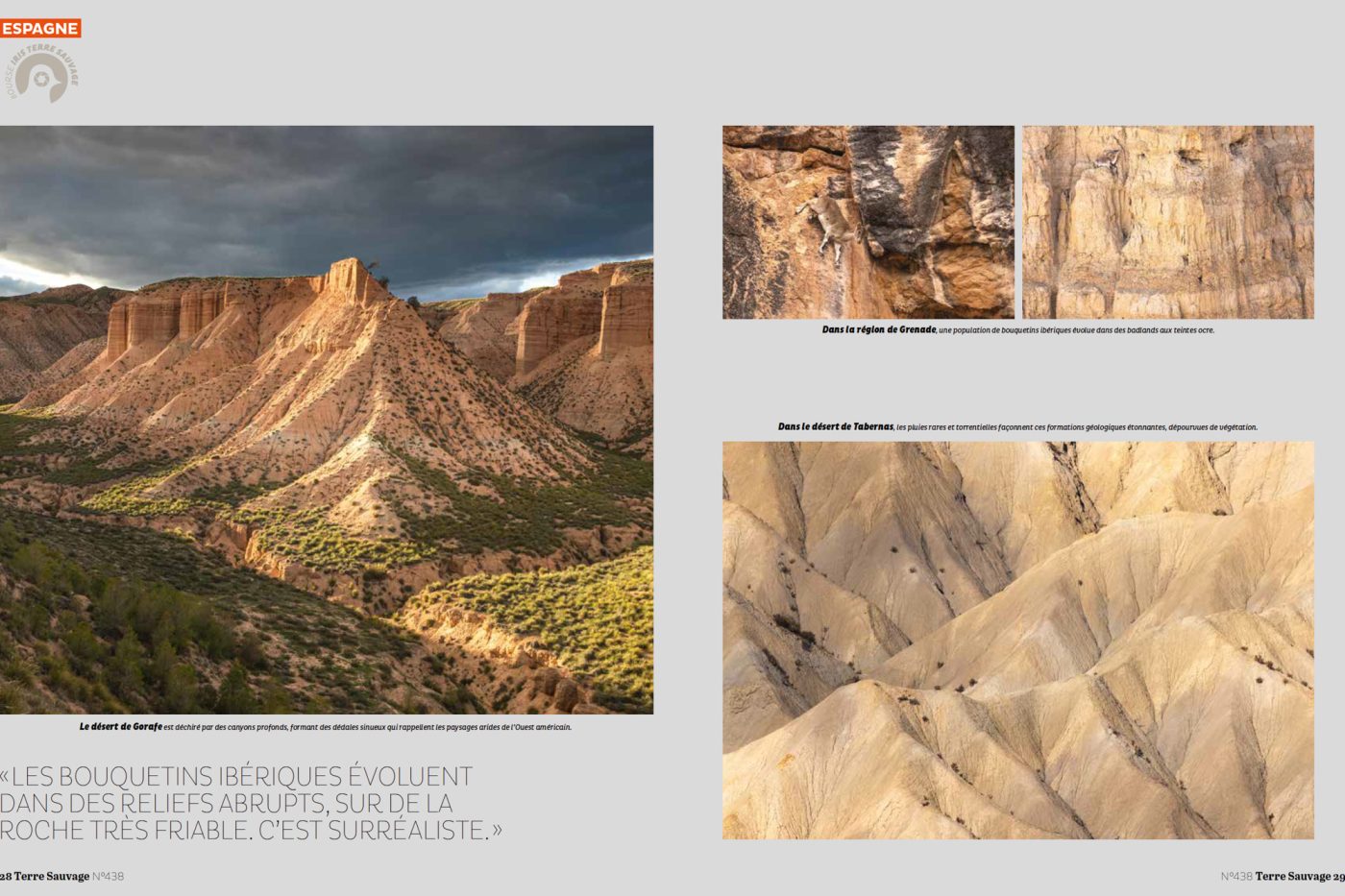 Publication de Manon Billard dans Terre Sauvage 2025 – Les princes de canyons, Bourse Iris Terre Sauvage.